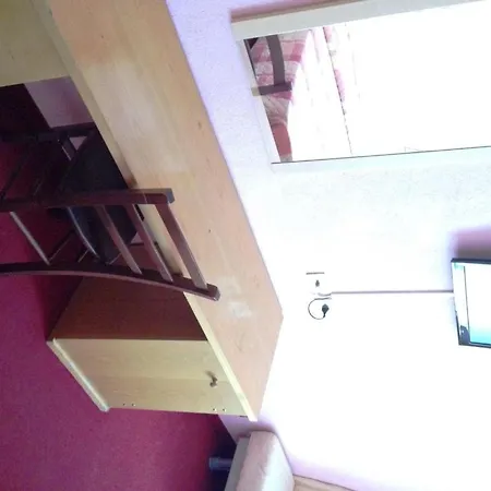 Hotel Alaska 3*